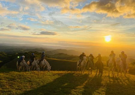 'cabalgando' Search .